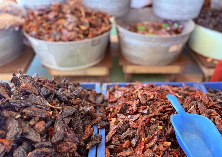 Imagen 06 10 25 a las 4.34 p.m 768x545